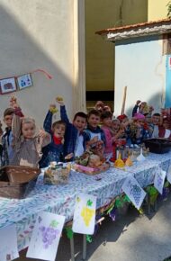 OGGI ALLA D'AURIA SI VENDEMMIA!